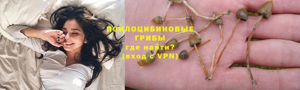 герыч Алексин