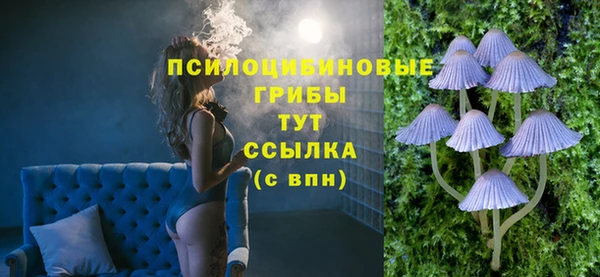 сатива Алзамай