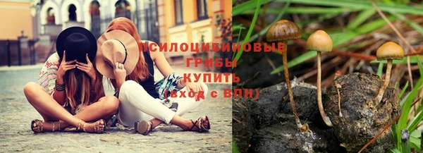 сатива Алзамай