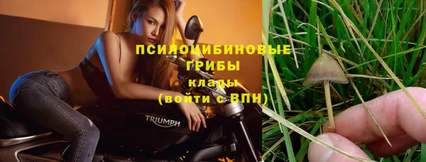 первитин Алексеевка