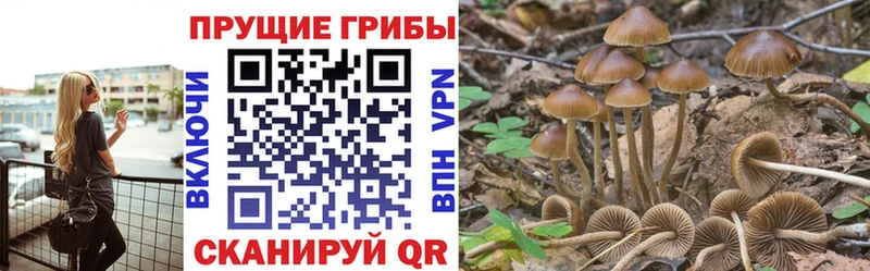 Псилоцибиновые грибы Magic Shrooms  купить   Данков 