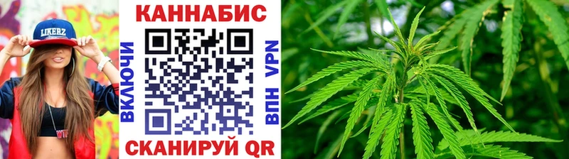 Конопля гибрид  Данков 